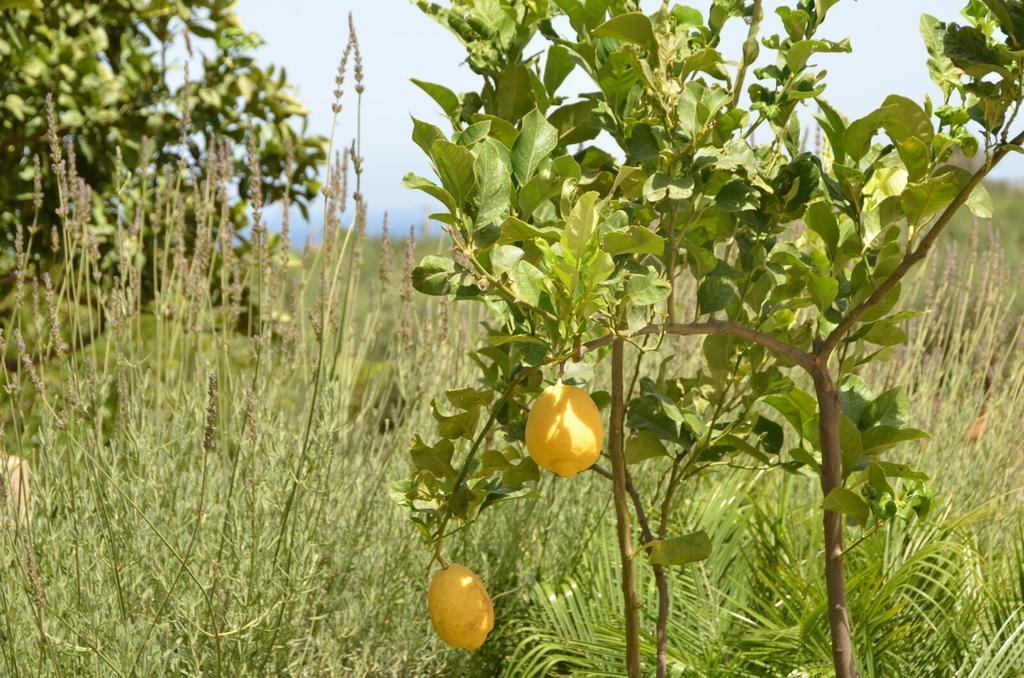 הוילה קסטלוצו Baglio Poma מראה חיצוני תמונה